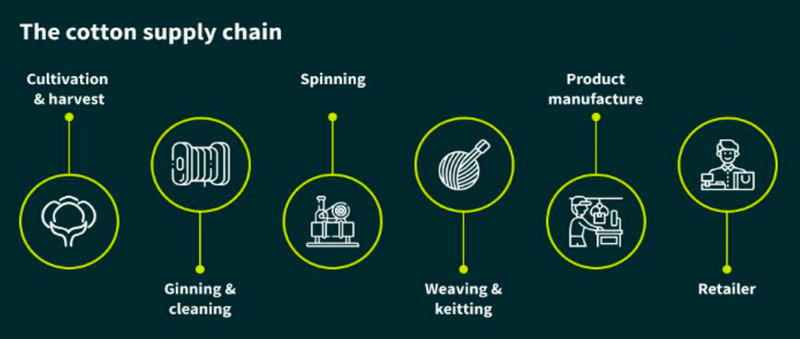 Macroeconomic Overview the US Cotton Supply Chain